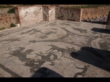 00312 ostia - regio ii - insula ii - terme dei cisiarii (ii,ii,3) - frigidarium (2, c) - mosaik - blick nach nordosten - 01-2024.jpg